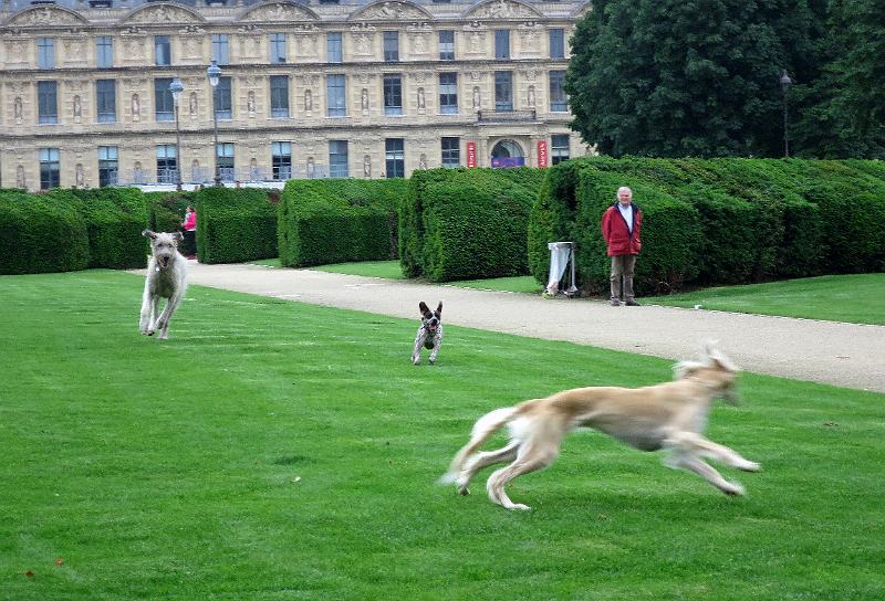 Paris (198).JPG